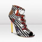 Collection capsule de Jimmy Choo X Rob Chaussures Diffuse